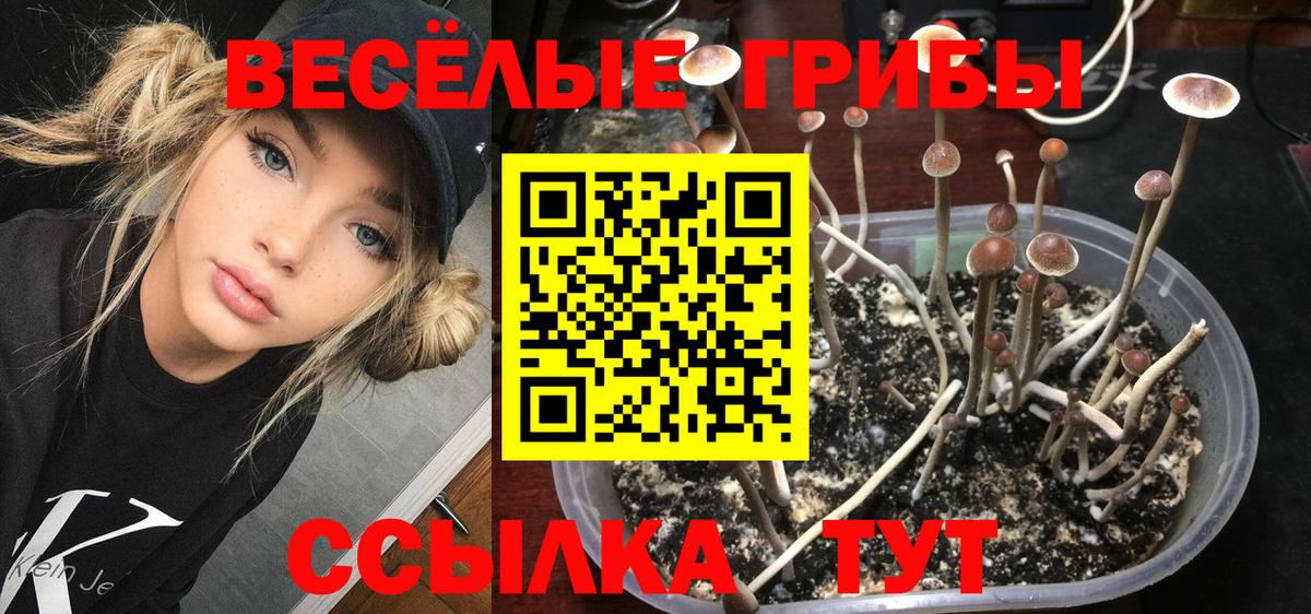 Галлюциногенные грибы MAGIC MUSHROOMS Полысаево