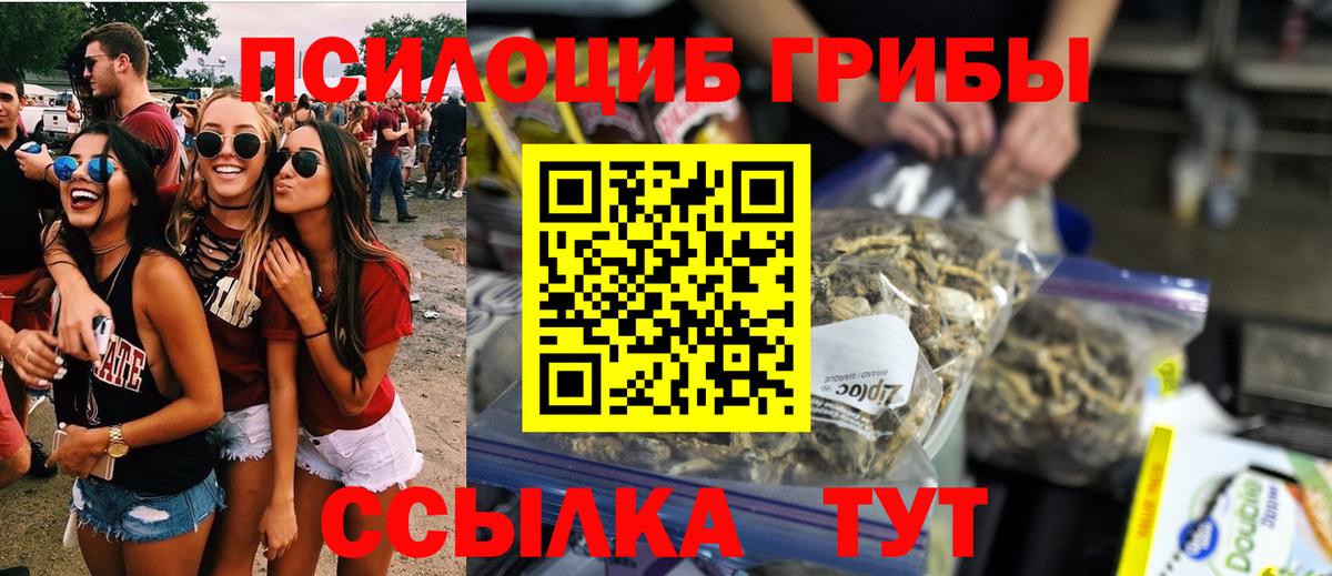 Псилоцибиновые грибы GOLDEN TEACHER  Вход с VPN  Полысаево 